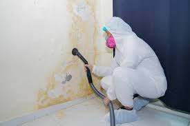 Best Mold Removal for HVAC Installations  in Tobaccoville, NC